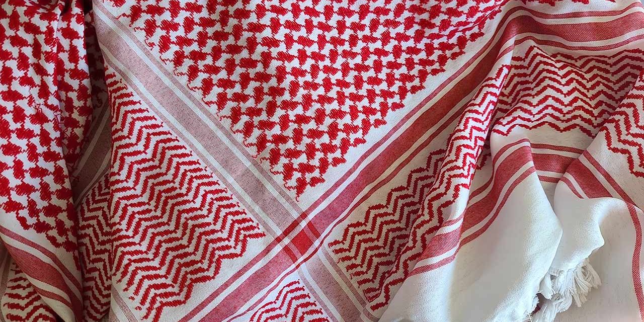 Situation critique à Gaza : s’informer et se mobiliser en solidarité avec le peuple palestinien