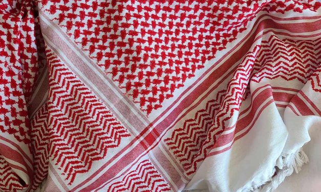 Situation critique à Gaza : s’informer et se mobiliser en solidarité avec le peuple palestinien