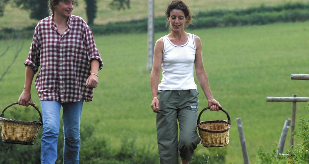 Retour sur la journée inter-associative sur l’installation des femmes en Agriculture paysanne