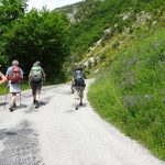 Participez au rendez-vous des Randos Paysannes