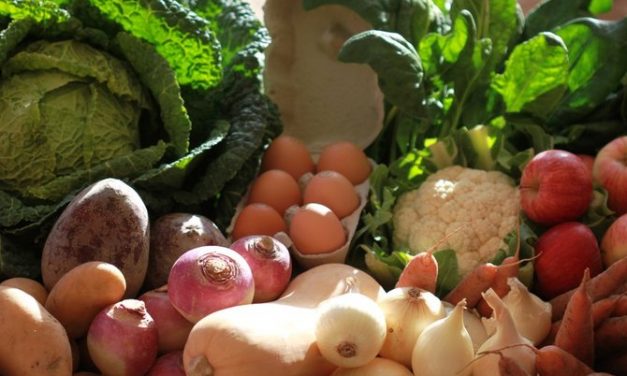 InPACT vous invite à participer à ces webinaires sur les Projets alimentaires territoriaux