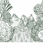 Légumes des terroirs – Histoire, vertus, mode d’emploi