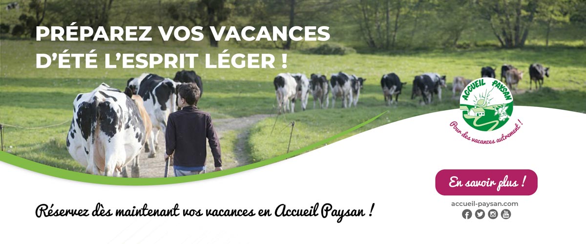 Promo_Printemps-ete_banniere