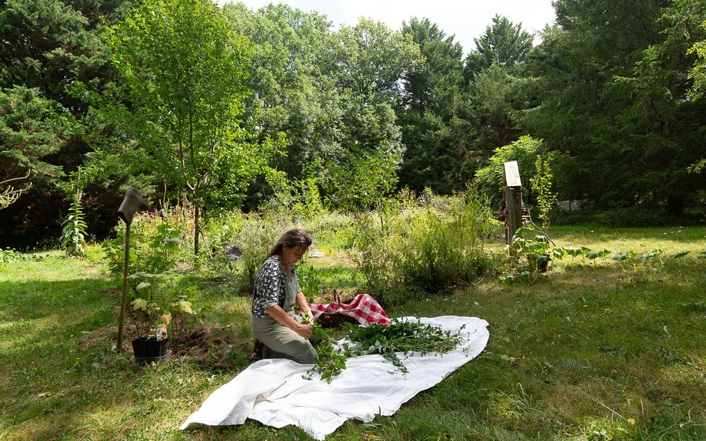 En Juin Tous Jardins sont mis en valeur