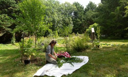 En Juin Tous Jardins sont mis en valeur