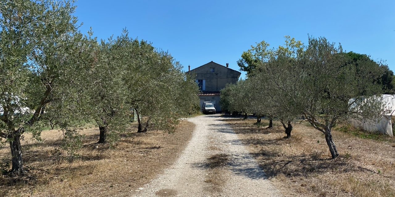 Ferme oléicole à vendre dans le Vaucluse