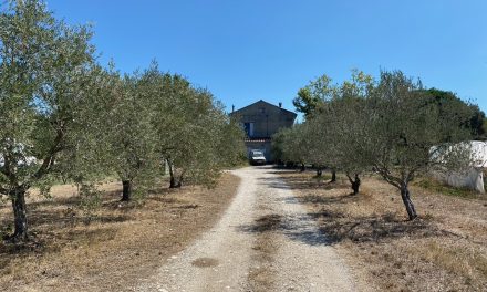 Ferme oléicole à vendre dans le Vaucluse