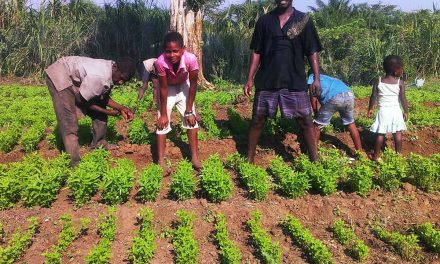 Comment donner envie aux jeunes générations de s’engager dans l’agriculture paysanne ? – Échange international le 08/10