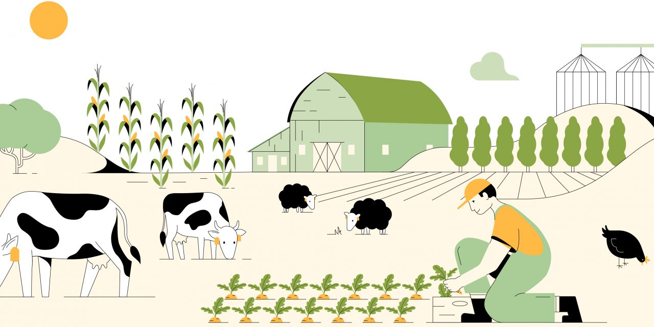 Participez à la grande consultation du Shift Project auprès des agriculteur·ices