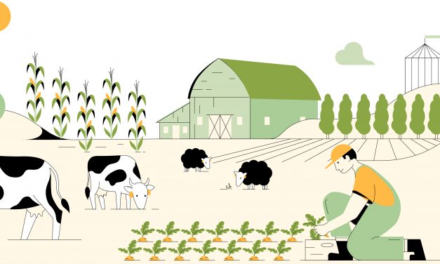 Participez à la grande consultation du Shift Project auprès des agriculteur·ices