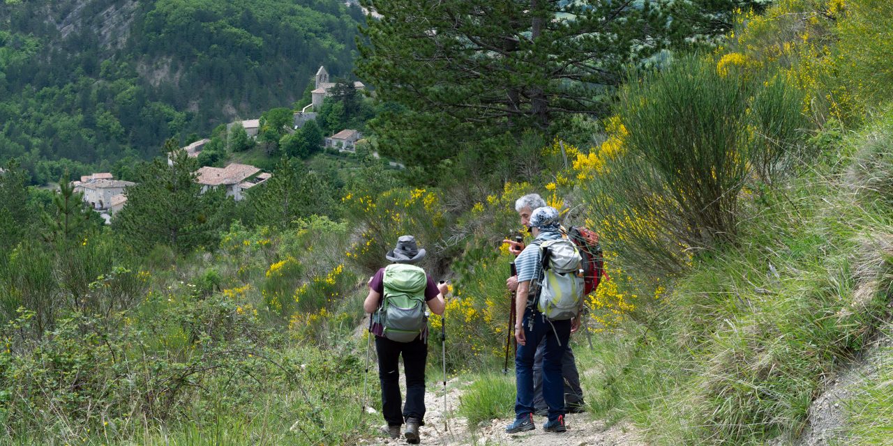 Ça bouge du côté des Randos Paysannes !