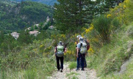 Ça bouge du côté des Randos Paysannes !