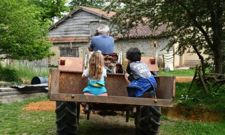 Partage du mémoire « Les séjours à la ferme et en milieu rural pour les jeunes placés en établissements de la protection de l’enfance »