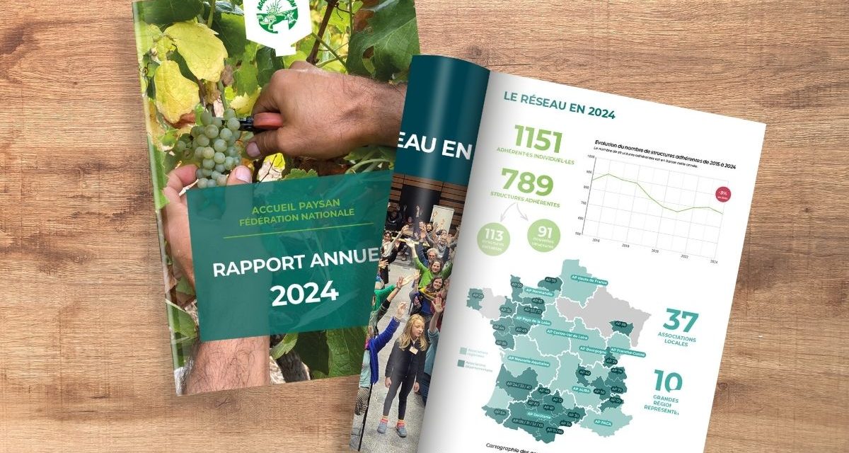 Rapport annuel 2024
