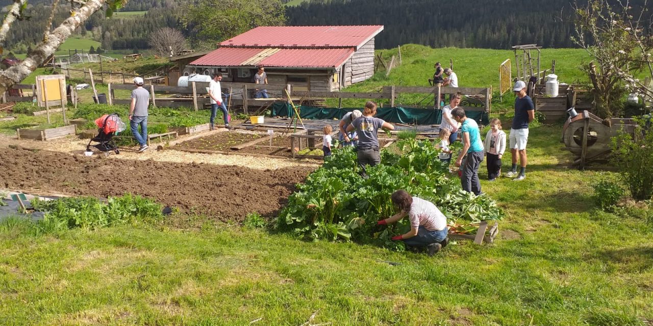 Participez à un webinaire sur la formation des porteur·ses de projet d’installation en collectif