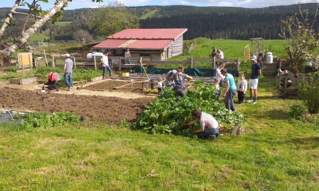 Participez à un webinaire sur la formation des porteur·ses de projet d’installation en collectif