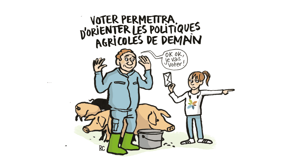 Pourquoi voter aux élections professionnelles agricoles ?