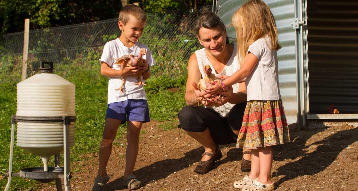 Journée d’échange sur l’installation en accueil social et thérapeutique