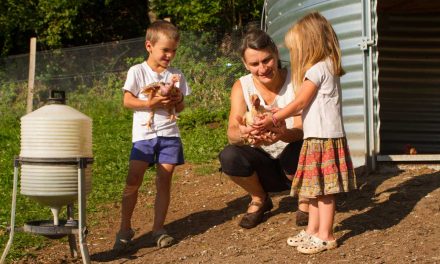 Journée d’échange sur l’installation en accueil social et thérapeutique