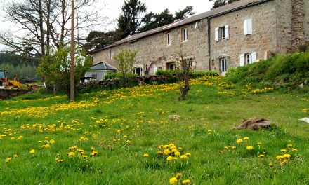 En Ardèche, la ferme « Paresse et Gourmandise » est à vendre