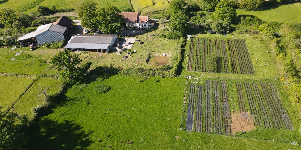 Election Chambres d’agriculture 2025 : professionnel·les agricoles, votons !