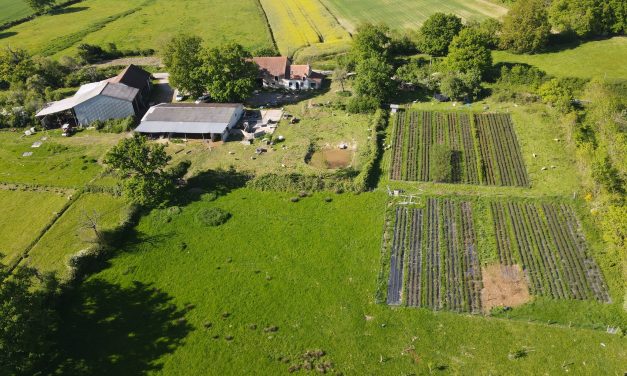 Election Chambres d’agriculture 2025 : professionnel·les agricoles, votons !