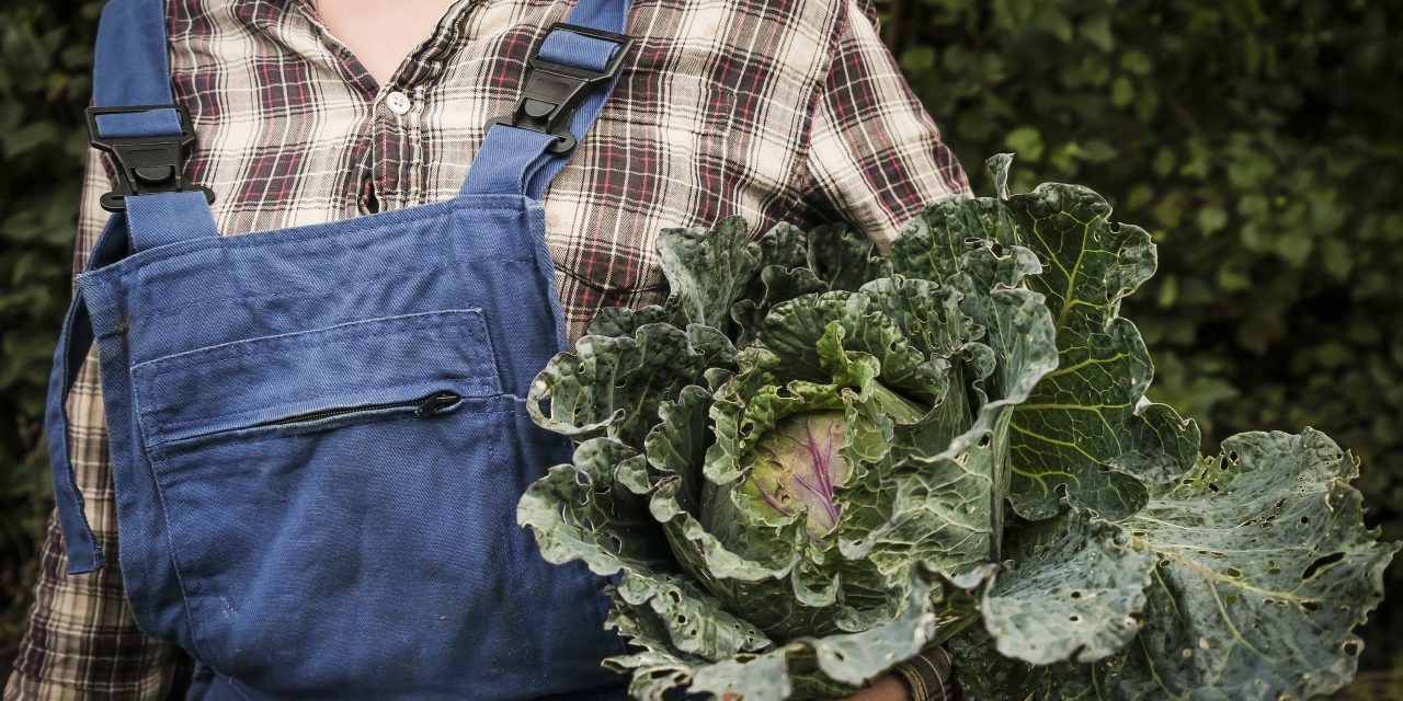 Inégalités de genre dans le monde agricole : des outils concrets pour mieux comprendre et agir