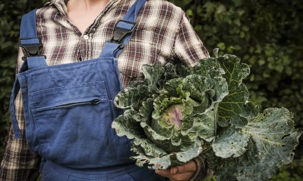 Inégalités de genre dans le monde agricole : des outils concrets pour mieux comprendre et agir
