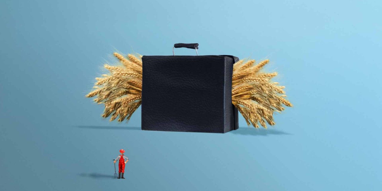 Le rapport 2025 de Terre de Liens sur l’état des terres agricoles est disponible