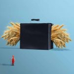 Le rapport 2025 de Terre de Liens sur l’état des terres agricoles est disponible