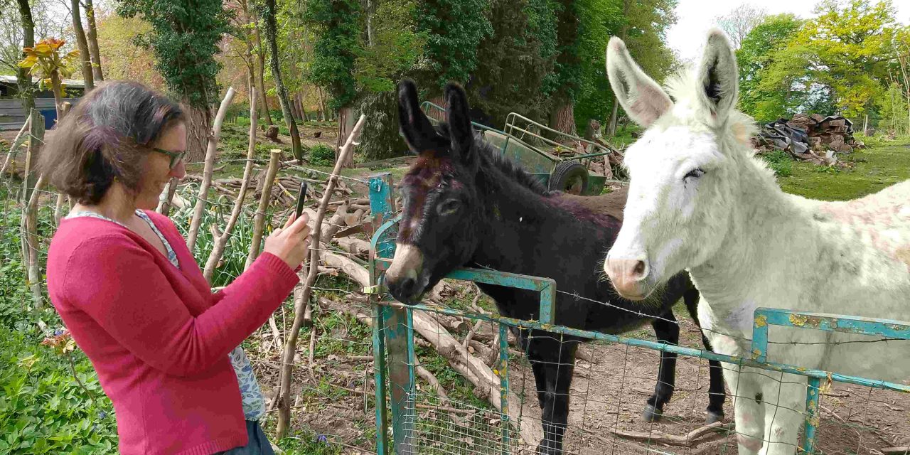 La formation « photo smartphone » en un mot ? Formidable !