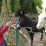 La formation « photo smartphone » en un mot ? Formidable !