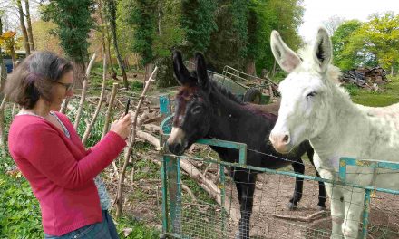 La formation « photo smartphone » en un mot ? Formidable !