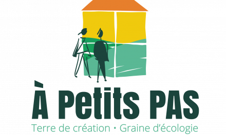 Ateliers sur les statuts proposés par A Petits Pas