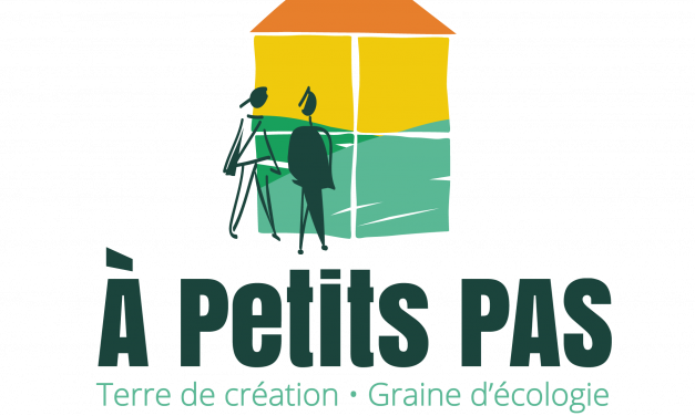 Ateliers sur les statuts proposés par A Petits Pas