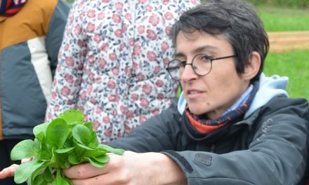 Gaëlle Sabau, labellisée en accueil pédagogique à Bourbourg (59)