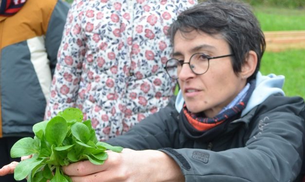 Gaëlle Sabau, labellisée en accueil pédagogique à Bourbourg (59)