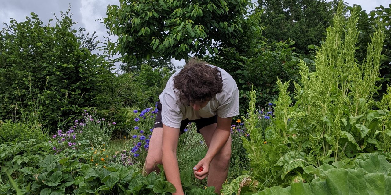 Mila cherche des adhérent·es pour répondre à ses questions autour de l’agro-écologie