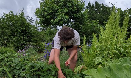 Mila cherche des adhérent·es pour répondre à ses questions autour de l’agro-écologie
