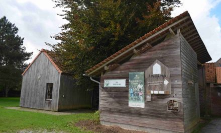 Infos de nos partenaires : A Petits Pas recrute