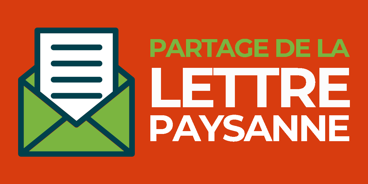 La newsletter de printemps : valoriser nos accueils auprès de notre public