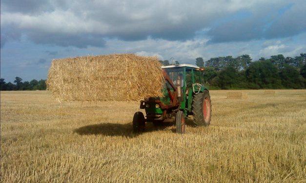 Webinaire InPACT sur la réforme du parcours d’accompagnement à l’installation et à la transmission – 2 juin