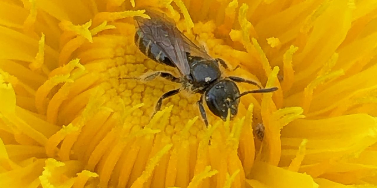 Ca peut vous intéresser, les actus de la semaine