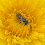 Ca peut vous intéresser, les actus de la semaine