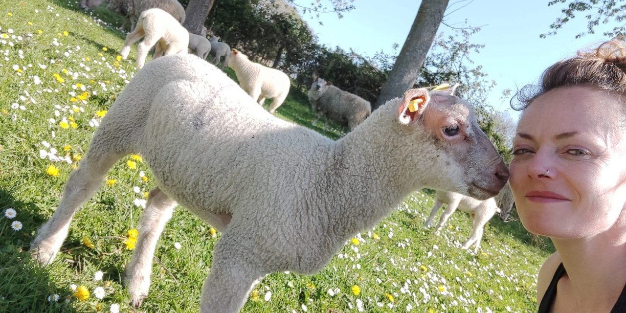 Le 8 juin : passez un « bio » dimanche à la campagne dans le Pas-de-Calais ! à Hesmond ou à Linzeux ?