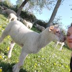 Le 8 juin : passez un « bio » dimanche à la campagne dans le Pas-de-Calais ! à Hesmond ou à Linzeux ?