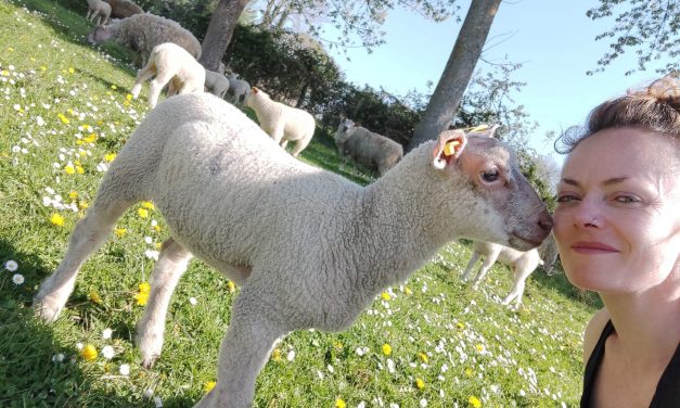 Le 8 juin : passez un « bio » dimanche à la campagne dans le Pas-de-Calais ! à Hesmond ou à Linzeux ?