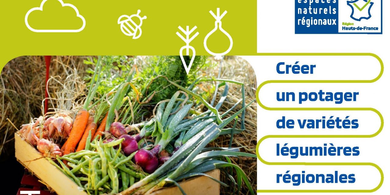Créer un potager de variétés légumières régionales : le guide