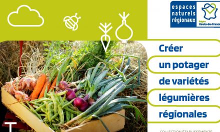 Créer un potager de variétés légumières régionales : le guide