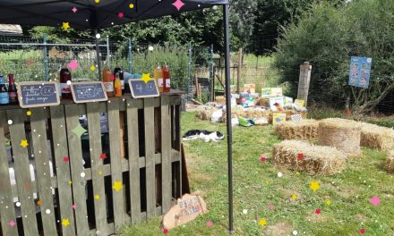 Un concert dans votre jardin, ça vous tente ?